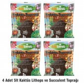 Bitbest bio Kaktüs Lithops Ve Succulent Toprağı 4 Adet 5lt - 2