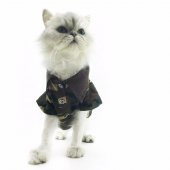 Kamuflaj Polo Yaka Tişört Kedi Kıyafeti  Kedi Elbisesi - 1