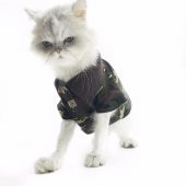 Kamuflaj Polo Yaka Tişört Kedi Kıyafeti  Kedi Elbisesi - 3