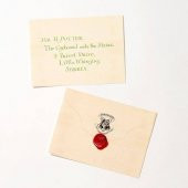 Harry Potter Hediyelik Set 4 Parça - 5