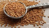 Çemen Otu Tohumu Kaliteli 1 KG - 1