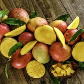 Tüplü Mango Fidanı - 10