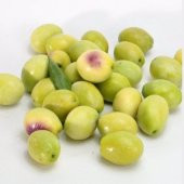 Ayvalık Edremit Zeytin Fidanı - 3