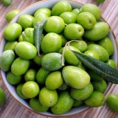 Tüplü Manzalina Zeytin Fidanı - 5
