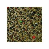 Karışık Kanarya Yemi 10 Kg Tozsuz 1.Sınıf - 2