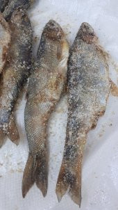 Van Tuzlu Balık (van posta pazarı) 3000 Gr - 5