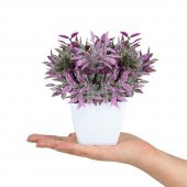 Banyo Çiçeği Tozlu Yeşillik Yapay Çiçek - 3