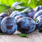 Tüplü Yarı Bodur Prizantin Erik Fidanı thumbnail 3