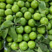 Tüplü Tam Bodur Cin Erik Fidanı thumbnail 7