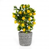 Porselen Saksıda Yapay Limon Ağacı - 1