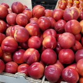 Tüplü Yarı Bodur May Grand Nektarin Fidanı - 3