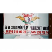 Tavuk biti mayt gece biti kesin çözüm nasıl sağlanır? en etkili - 4