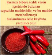 Çok Acı Kurutulmuş 250 gr Tüm Biber Parmak Baharat - 2