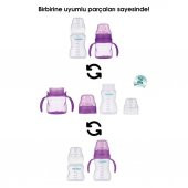 Mamajoo Kulplu Eğitici Bardak 160ml & Silver Biberon 250ml/Mor - 4