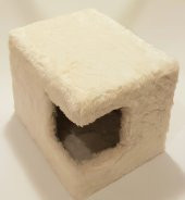 NİTA KEDİ EVİ - 2