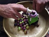 Zeytin Dilme, Çizme, Kesme Makinesi, Pratik Mini Aparat, Akva - 3