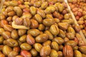 Zeytin Dilme, Çizme, Kesme Makinesi, Pratik Mini Aparat, Akva - 11