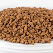 RASYON HIGH PROTEIN&HIGY ENERGY PAPAĞAN YEMİ - 5KG - 2