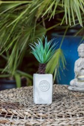 California Palm Beton Saksılı Çiçek - 1