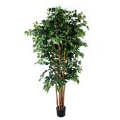 Euro Flora Yapay Fıcus Ağacı Brezilya 210 Cm - 1
