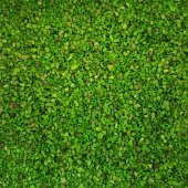 500 GRAM Doğal deniz kabuğu kumu renkli kum jel mum şişe süslemes - 5