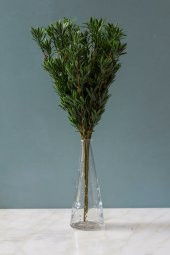 Rosemary Yeşil Yapay Çiçek - 2