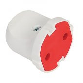 MIMOZA DISI TOPRAKSIZ FIS DISI - 1