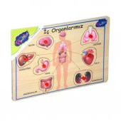166/167 Onyıl, Ahşap Tutmalı Organlar - 2