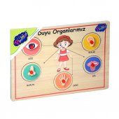 166/167 Onyıl, Ahşap Tutmalı Organlar - 3