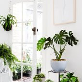 Yapay Monstera Yaprağı 32x26 cm - 6