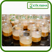 Kombucha Başlangıç Kiti-Kombu Mantarı-Kombucha Çayı-Kombucha mantarı - 2