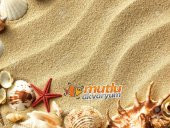 AKVARYUM KUMU YIKANMIŞ SARI SİLİS 10 KG (02-05MM) thumbnail 1