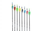 ASES OKÇULUK ONIX HAZIR KARBON OK (6 Adet) - 1