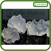Su Kefiri Mayası Sitede İlk ve Tek Etik Farma Garantisi ile - 1