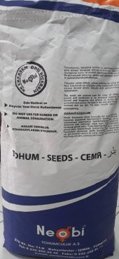 Yaprak Sırık Bezelye Tohumu 1 Kg. - 2