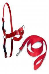 PETSAFE Easy Walk Harness Kırmızı Kopek Gogus Tasması XLARGE - 2