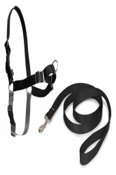 PETSAFE Easy Walk Harness Siyah Kopek Gogus Tasması XLARGE - 2