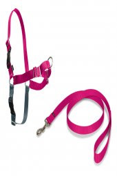 PETSAFE Easy Walk Harness Pembe Kopek Gogus Tasması LARGE - 1