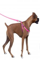PETSAFE Easy Walk Harness Pembe Kopek Gogus Tasması LARGE - 2