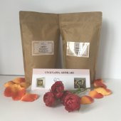 Küçük İzler Anne-çocuk veya 2 yetişkin el kalıp ve döküm tozları - 2