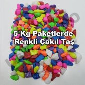 Teraryum Çakıl Taşı, Fanus Renkli Dekoratif Taş Akvaryum Taşı KarışıkRenk1-2 cm çaplı 5Kg Paketlerde - 1