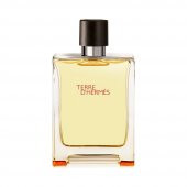 Hermes Terre D’Hermes Edt 100 ml Erkek Parfüm - 1