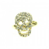 Kuru Kafa Yüzük (24 adet) 120542 d thumbnail 1