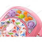 Taşpınar 3 Kademeli Lüx Balıklı Yürüteç 10 Teker - 3