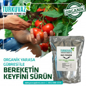 Turkuvaz Bat Power 10 Kg. Organik Toz Yarasa Gübresi - 4