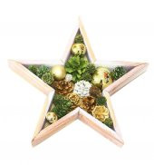 YILBAŞI AHŞAP YILDIZ KOZALAKLI GOLD DEKOR SÜS 50CM - 1