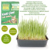 Garden Mix Kedi Çimi 13*18 cm - 2