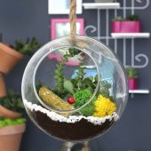 Cam Askılı Yuvarlak Teraryum Fanusu - 25cm (Sadece Fanus) - 1