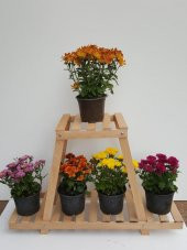Ahşap Saksı Sehpası Çiçek Rafı Saksılık Çiçek Stand - 1