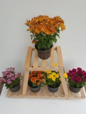 Ahşap Saksı Sehpası Çiçek Rafı Saksılık Çiçek Stand - 2